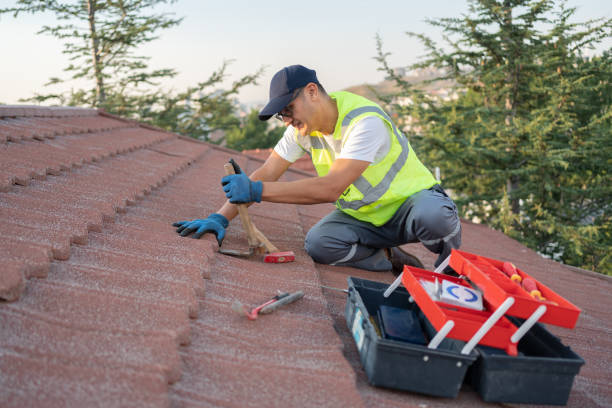 Best Best Roofing Contractors  in Lame Deer, MT