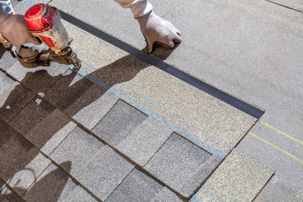 Best Roof Gutter Cleaning  in Lame Deer, MT